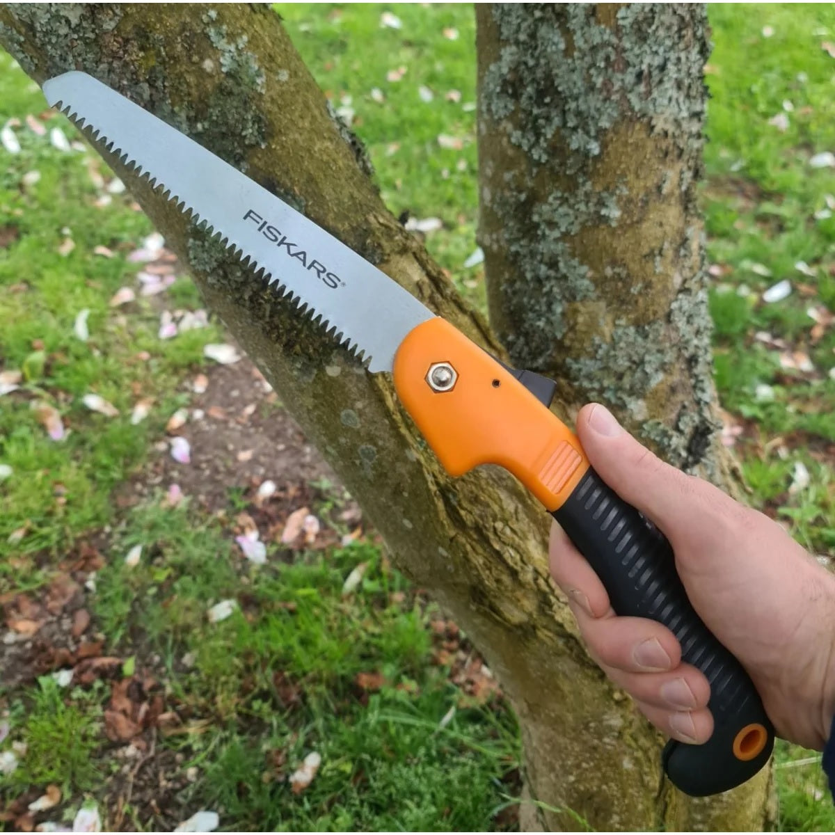 Fiskars Klappsäge bei der Baumpflege im Einsatz – robuste Handsäge für Obstbaumschnitt, Gartenpflege und sicheres Sägen von Ästen im Außenbereich.
